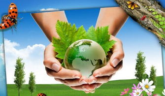 环境保护新政策：构建可持续发展的未来