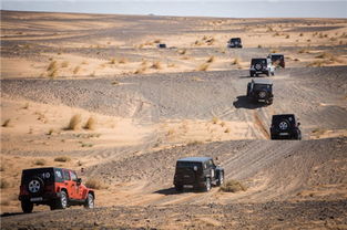 撒哈拉沙漠路线