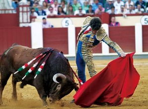 西班牙斗牛节目取消了吗