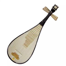 南美洲传统乐器