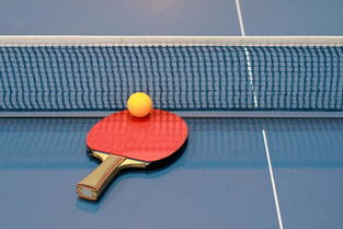 乒乓球运动的协调性：掌握技巧，发挥潜能