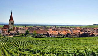 法国葡萄酒产区之旅在哪里