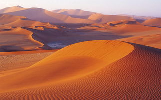 撒哈拉沙漠穿过几个国家