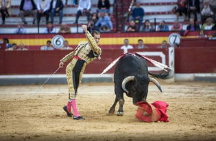 西班牙斗牛节目取消了吗现在