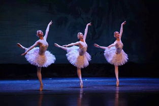 俄罗斯芭蕾舞的发展史