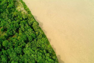 亚马逊雨林生活