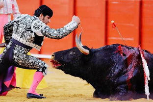 西班牙斗牛节属于什么活动