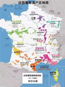 法国的著名葡萄酒产区