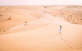 横穿撒哈拉沙漠多长时间